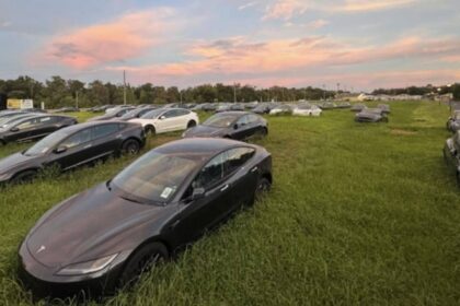 Tesla Abandonados en Florida 3