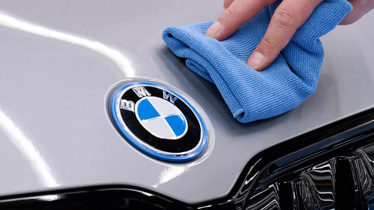 BMW logo limpio